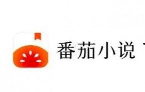 番茄传媒,引领新媒体潮流的创意力量